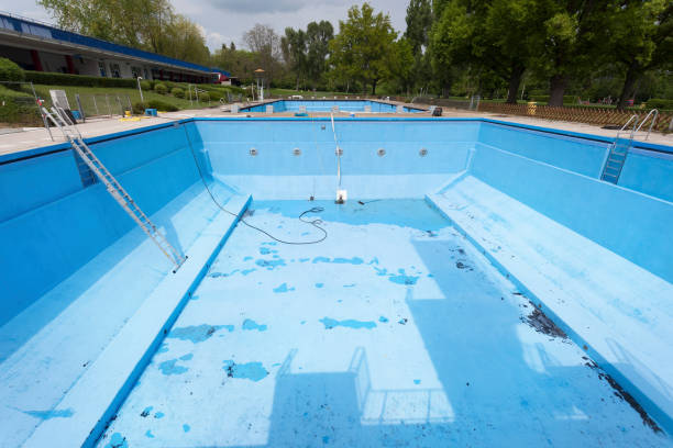 Best Flood damage cleanup  in Burgaw, NC