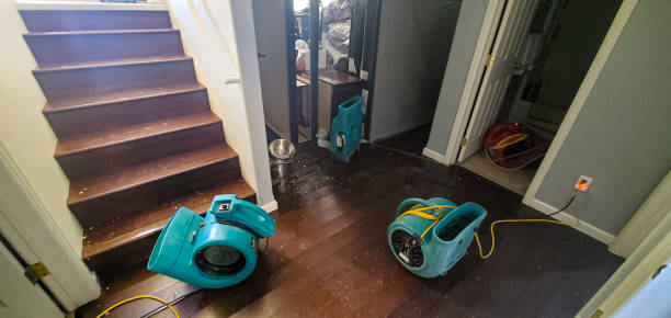 Best Water damage cleanup near me  in Burgaw, NC