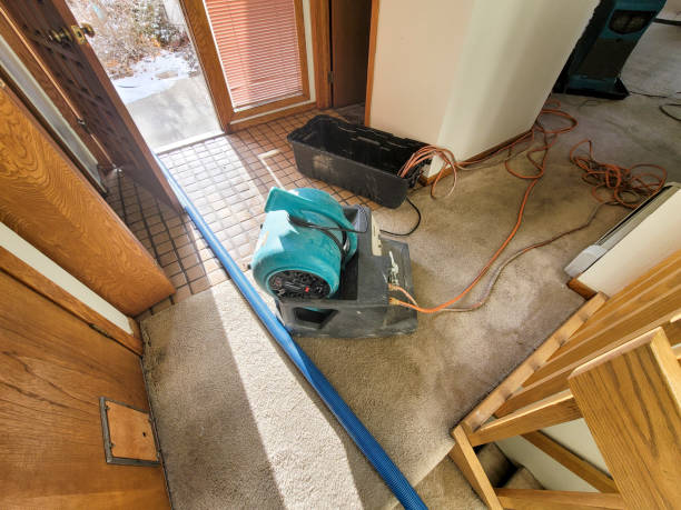 Best Water damage mitigation services  in Burgaw, NC