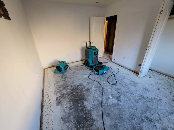 Best Water damage cleanup near me  in Burgaw, NC