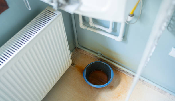 Best Fire Damage Restoration  in Burgaw, NC